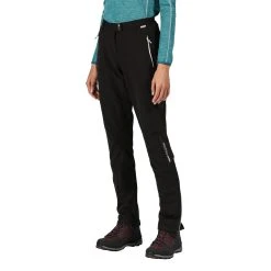 Regatta Womens/Ladies Mountain Hiking Trousers (Ash) -Regatta shop k703e90cae41e3771c9ebe3552a3a9dbd