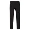 Regatta Mens Highton Walking Trousers (Ash)