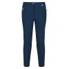 Regatta Mens Highton Water Repellent Hiking Trousers (Moonlight Denim)