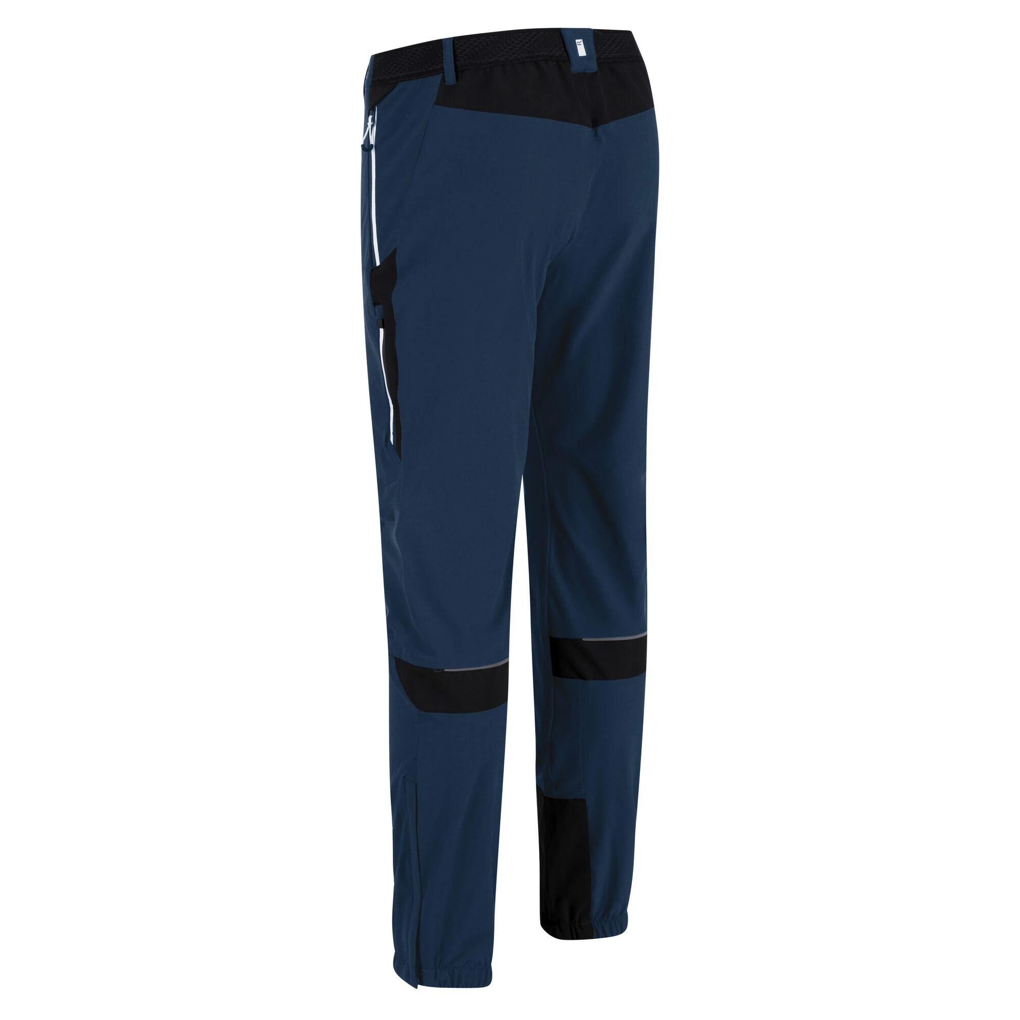 Regatta Mountain III Men's Hiking Trousers 4 Regatta Mountain III Men's Hiking Trousers - Image 2